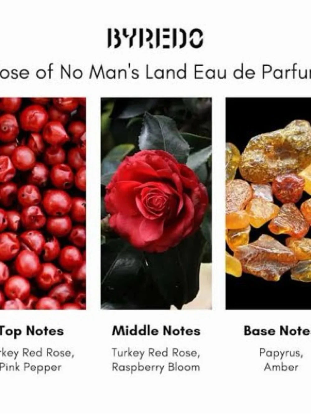 byredo Rose of no Man's Land